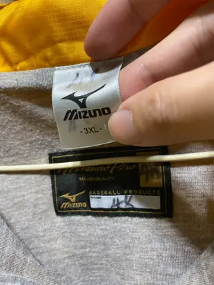 中信兄弟 兄弟象 MIZUNO PRO 金標 球員版實戰風衣 美津濃