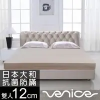 在飛比找PChome24h購物優惠-Venice 抗菌+防蹣+釋壓12cm記憶床墊-雙人5尺