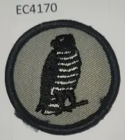 Boy Scout Patrol Medallion Badge Falcon