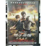 挖寶二手片-C04-005-正版DVD-華語【痞子英雄2 黎明再起】趙又廷 林更新 黃渤 張鈞甯