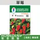 【台灣現貨】草莓 I-145 趣味種子 水果種子 農友牌 小包裝種子 約80粒/包【HOMEDEN霍登園藝】