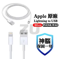 在飛比找蝦皮購物優惠-『ZU』附發票 Apple Lightning to USB