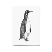 Penguin Drawing Animal Office Library Wall Art #1