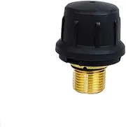 Compatible with KARCHER Steam Cleaner SC Accessories SC1 SC2 SC4 SC5 CTK10 SV1802 SV1902 SG4-4 Brass Safety Valve Kit Home Appliance Part (Color : SV1802 SV1902)