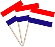 100Pcs Netherlands Toothpick Flag World Cup Toothpicks Flags for Cocktail and Cake Decoration at Parties Celebrations and Sports Events