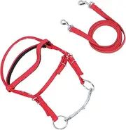 Horse Bridle, Nylon Padded Equestrian Browband Headstall, Adjustable Horse Bridle Headstall Equestrian Rein for Horses with Shoulder Height of 1.3 Meters and Above