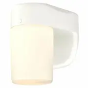 Westinghouse 1-Light LED Wall Fixture,Dusk to Dawn Sensor, Oil Rubbed Bronze