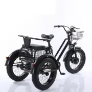 20inch Electric Bike Tricycle Thick Tyre Snow Three-wheeled E-bike Car 48V 12AH