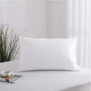 Accessorize Standard Cotton Quilted Pillow Protector