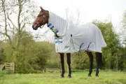 WeatherBeeta ComFiTec Zephyr Plus Mesh Combo Neck Fly Sheet (No Fill)