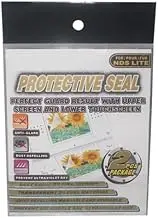 Nintendo DS Lite Protective Filter