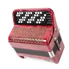 62 Keys Accordion 60 Bass Button Accordion Kids Educational Musical Instrume XXL