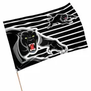 Penrith Panthers NRL Game Day Flag * Great for Games or Home!