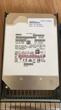 在飛比找Yahoo!奇摩拍賣優惠-NetApp 10T 10TB SAS X380A-R6 X