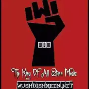 Howard Stern Radio Show WUSHDISHMEEN HDD Audio Collection (1980-2024)