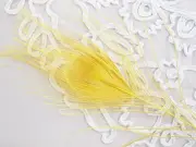 PEACOCK FEATHER Single - YELLOW - approx 18-21cm long 1 per pack MH Fea