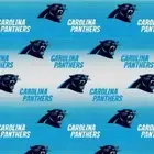 Handmade Placemat Or Table Runner Panthers Blue