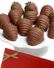 Chocolate Covered Company 12pc All Milk Belgian Chocolate Classic Strawberries NoSize NoColor