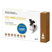 Revolution (Selamectin) For Small Dogs 5.1 To 10kg (Brown) 6 Pack + Free Canex