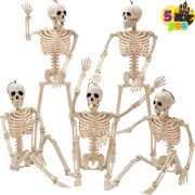 JOYIN 5 PCS Posable Halloween Skeletons 16 Inches Full Body Posable Joints Hangi