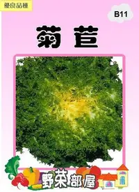 在飛比找Yahoo!奇摩拍賣優惠-【野菜部屋~】B11 日本菊苣種子1公克  , 又稱明目菜 