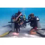 Save 9.59%! Private First-Time Dive on Aruba’s Reef and Wreck Site