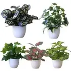 Faux Grass Artificial Plants Bonsai Simulation Greenery Bonsai