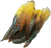 JMYLCTBD Generic Colored Chicken Rooster Feathers for Crafts Making Jewelry Feathers Fly Feathers Color Mixing 100pcs-23||50pcs