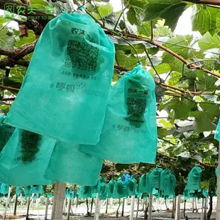 夏黑葡萄袋子透氣透光防鳥陽光玫瑰葡萄袋環保果樹桃套袋