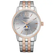 Citizen Two-Tone Moonphase Stainless Steel Men's Watch (AK5006-58A)