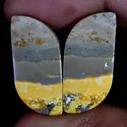 Natural BumbleBee Jasper Matched Pair 23.60 Cts. Cabochon Gemstone For Earring