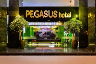 佩格薩斯飯店Pegasus Hotel