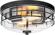 EMLIVIAR Flush Mount Ceiling Light Fixture, 12" Farmhouse Industrial Ceiling Light for Bedroom Hallway Kitchen Porch Entryway, Black Finish with Clear Glass, AUT24 BK