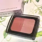 FANCL Styling cheek blush palette With case Japan