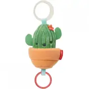 Farmstand Jitter Cactus