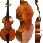 Baroque Style SONG Maestro 7 strings 29" viola da gamba，carving angel scrol