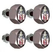 4 Grey Hex - Aluminum Motorcycle License Plate Frame Tag Bolts Pin Girl US Spade