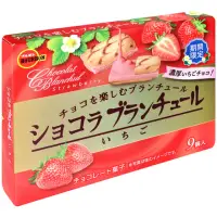 在飛比找momo購物網優惠-【Bourbon 北日本】草莓可可風味夾心餅(40g)