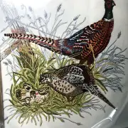 CM Columbia Minerva Crewel Picture Kit 7923 new 16x16" Embroider Pheasant Family