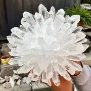 7.31LB Newly discovered white Phantom Quartz Crystal Cluster mineral samples