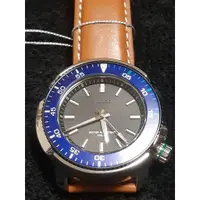 在飛比找蝦皮購物優惠-SEIKO 精工 手錶 WIRED Diver 限定 日本直
