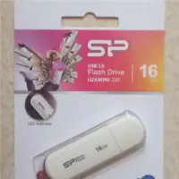 在飛比找蝦皮購物優惠-《大大狗》終生保固 終生保固 廣㯋電通SP  16G 32G