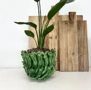 Club Santorini Chilli Vase in Green