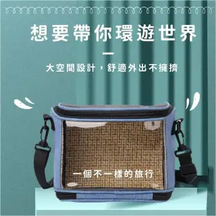 【寵物用品】小型寵物外出包26x15x19cm(大容量 寵物提籠 寵物包 外出包 手提袋 出遊 兔子 鸚鵡 蜜袋鼯)