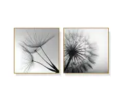 Black and white dandelion 2 sets Gold Frame Canvas