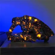 170g Natural Yooperlite saber-toothed tiger Skull Reiki Quartz Crystal Skull