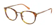 Radley RDO 6015 102 Men's Glasses Tortoiseshell Size 49 - Private Health Rebate - Blue Light Block Available
