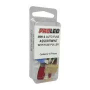 Automotive Fuse Kit- Auto and Mini Fuse Assortment 15pc Genuine Brand