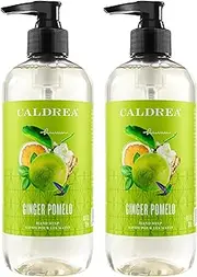 Hand Wash Soap, Aloe Vera Gel, Olive Oil and Essential Oils to Cleanse and Condition, Ginger Pomelo Scent, 10.8 oz, 2 Pack
