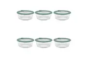 6PK Ecology Store Round Clear Glass Food Storage Container 650ml Eucalyptus